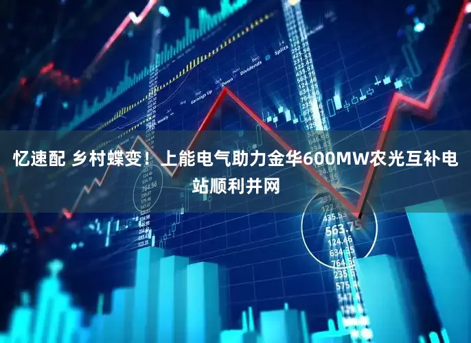 忆速配 乡村蝶变！上能电气助力金华600MW农光互补电站顺利并网