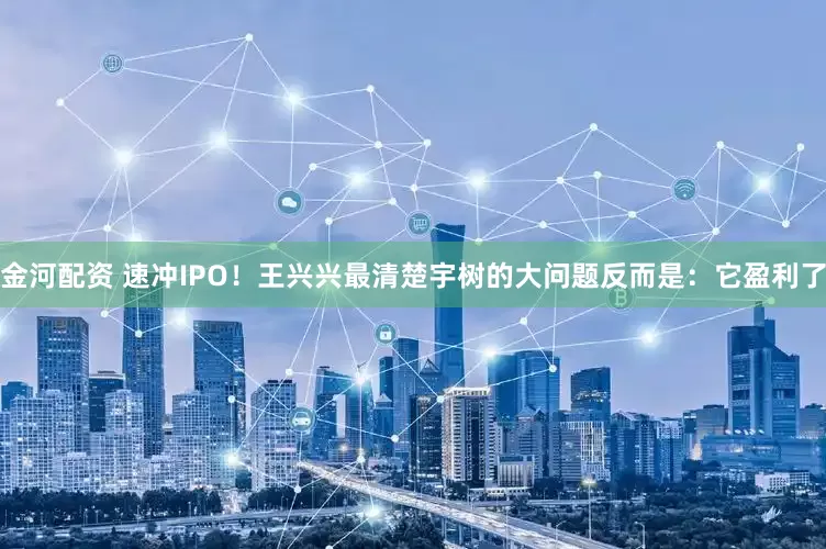 金河配资 速冲IPO！王兴兴最清楚宇树的大问题反而是：它盈利了